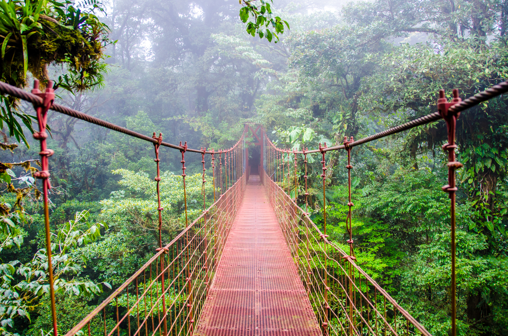 Costa Rica Black Expat