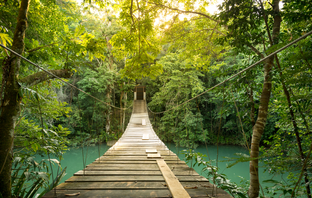 Black expat Belize