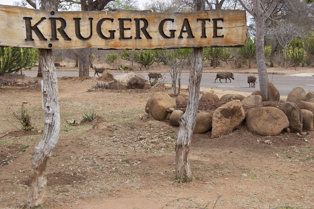 Unforgettable Adventure Destinations for Solo Seniors - Kruger national park