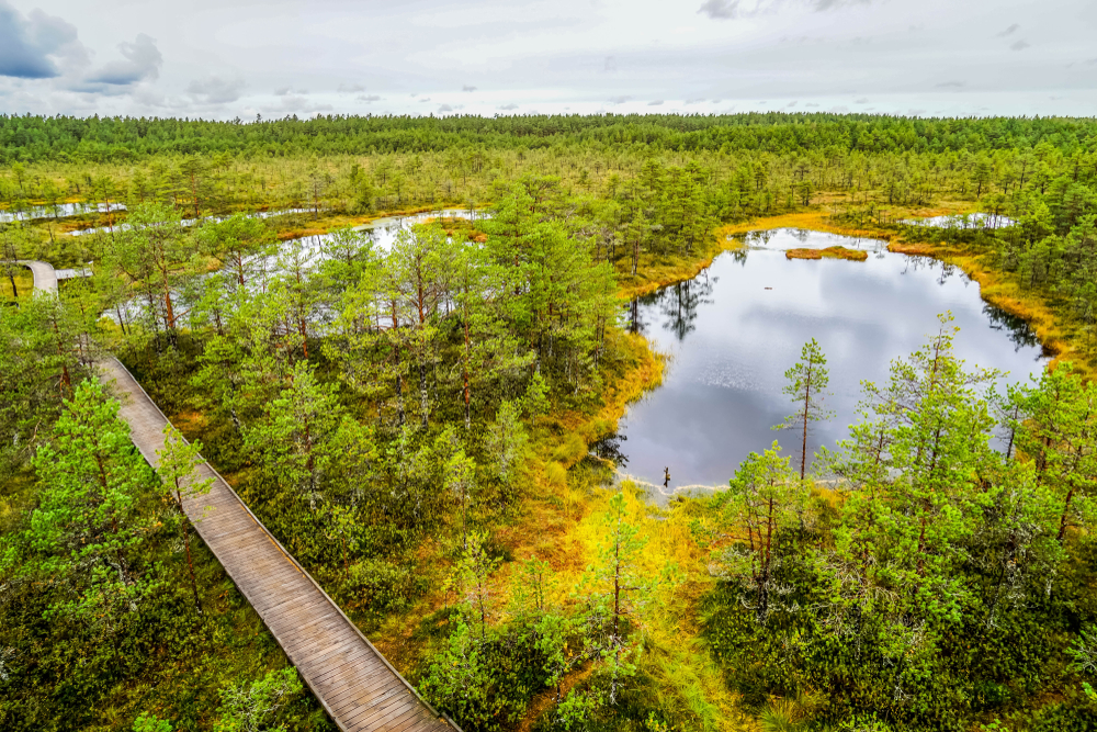 underrated summer travel ideas - Lahemaa National Park