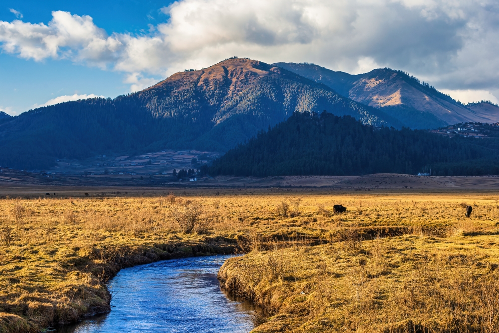 underrated summer travel ideas - Phobjikha Valley Bhutan