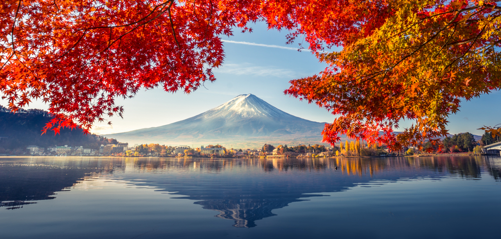 Solo Black Female Travel in Tokyo, Japan