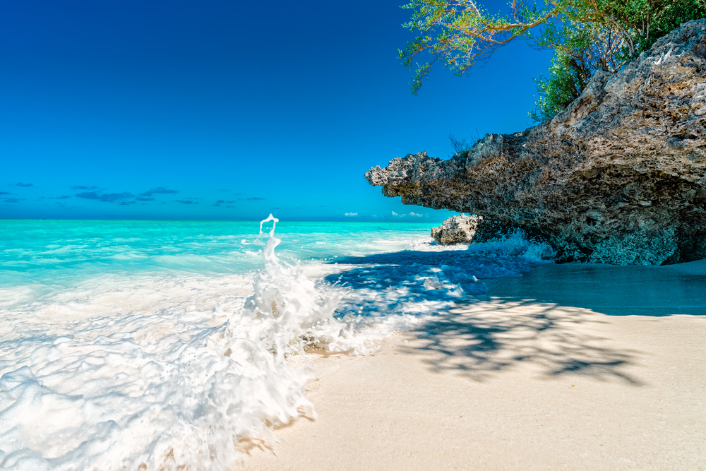 Black Travel Nungwi Zanzibar