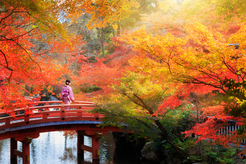 Bucket List Destinations for Every Senior Traveler - kyoto, japan