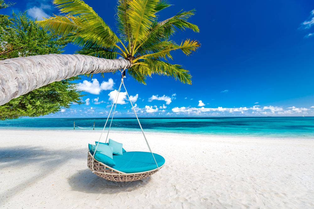 POC Travel - Chair suspended from a bamboo tree with a beach view in the background