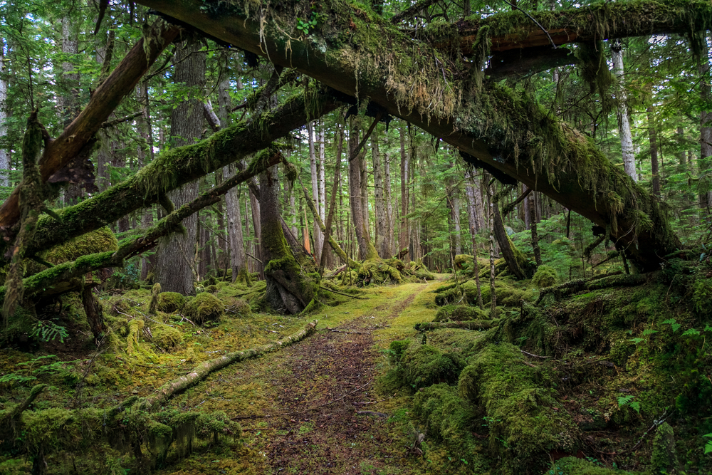 Top 10 Indigenous Tourism Destinations - haida