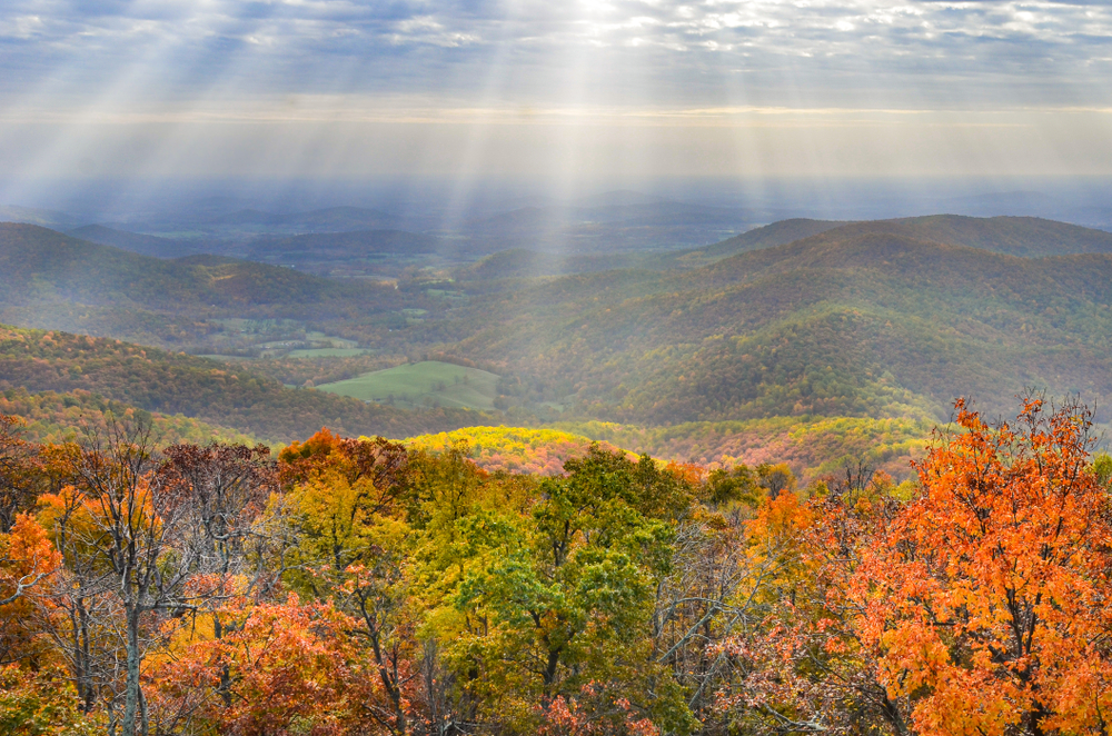 Family Trip from Dallas to D.C. with a 2-Year-OldShandoah park